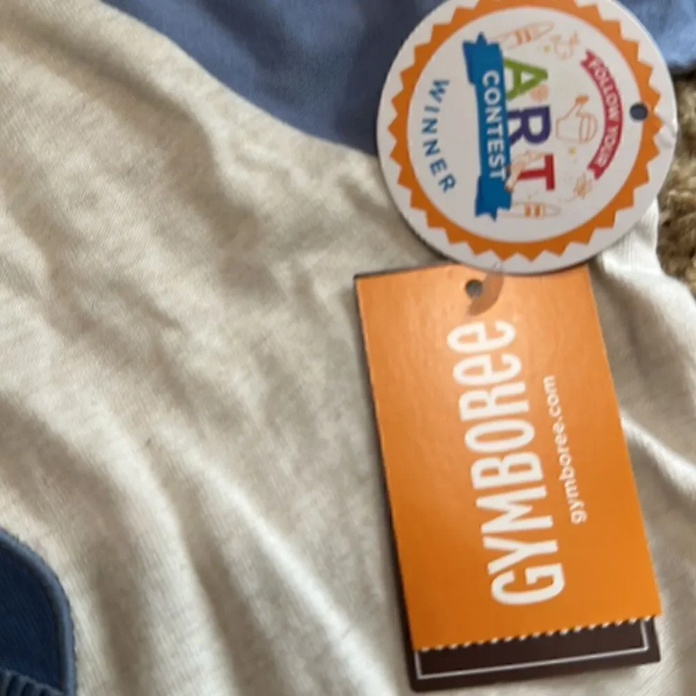 Gymboree | Boys Embroidered Bear Raglan Top - Bear Hugs - H/T Vanilla | 8
